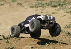 ECX 1/10 Ruckus Brushless RTR Black